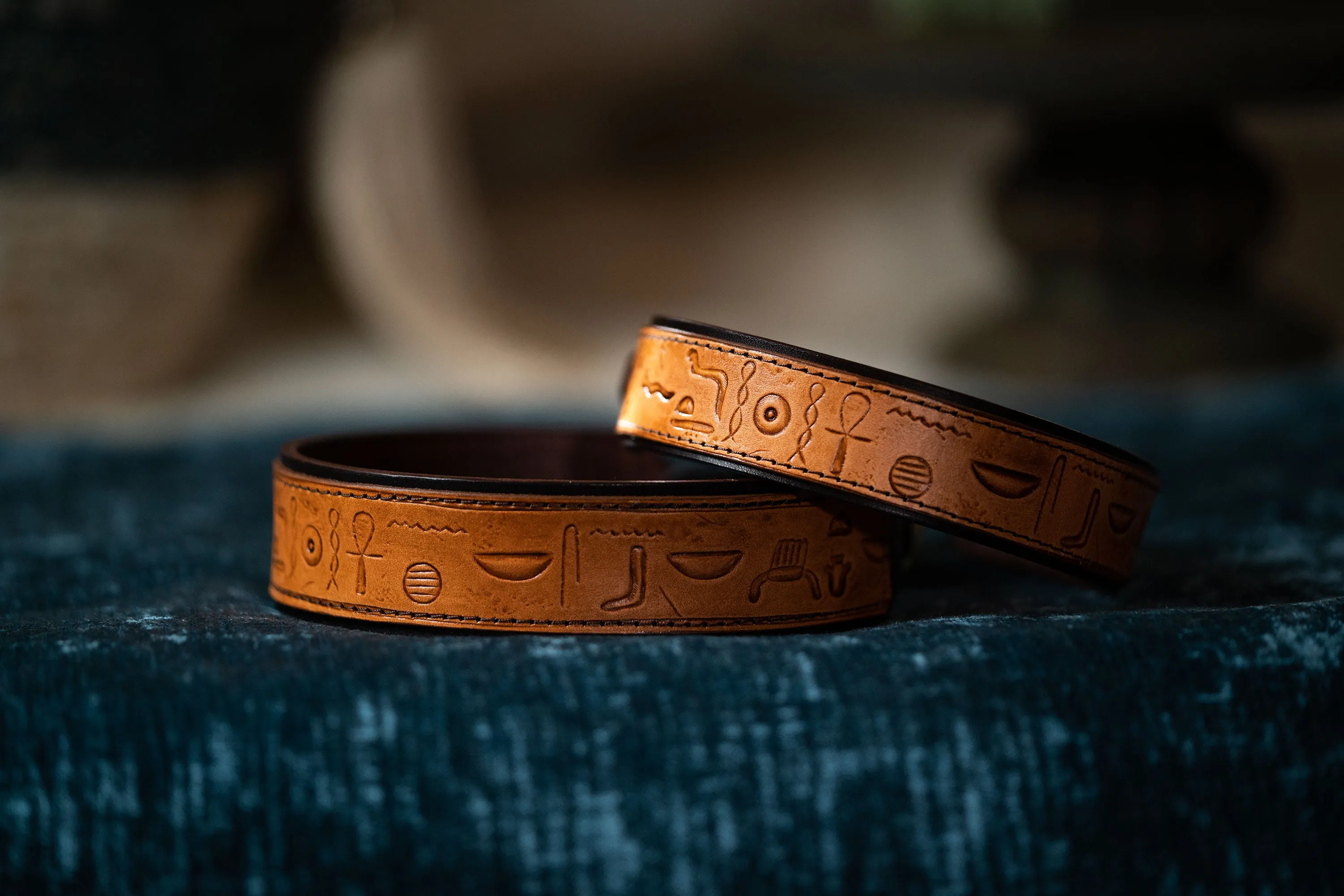 Ancient Egyptian Hieroglyph Dog Collar