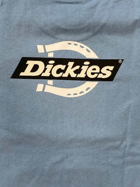 Dickies Men's short sleeve t-shirt Ruston DK0A4DC C36 light blue