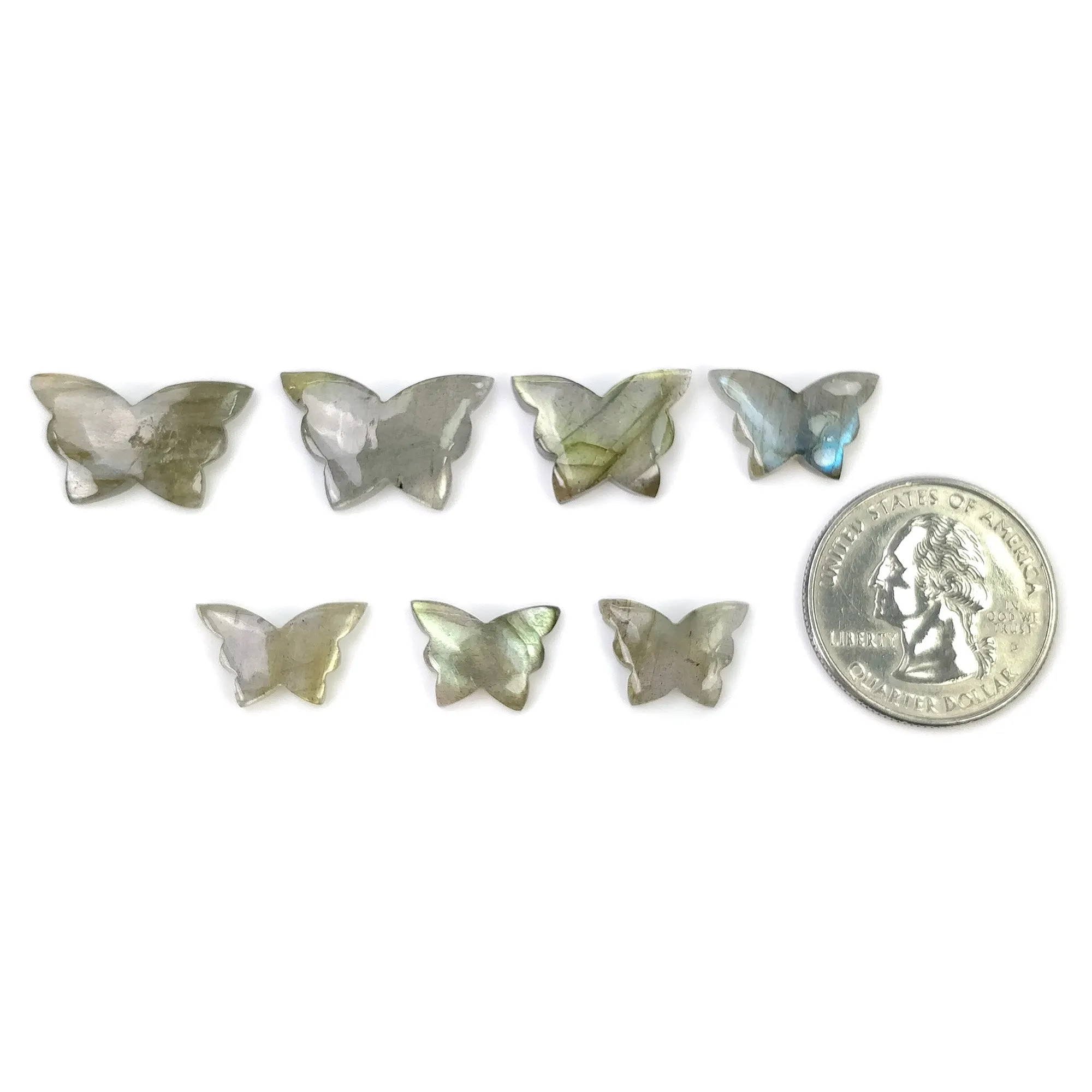 LABRADORITE Gemstone Carving : 34.00cts Natural Untreated Labradorite Gemstone Hand Carved Butterfly 12*10mm - 21*12mm 7pcs (With Video)