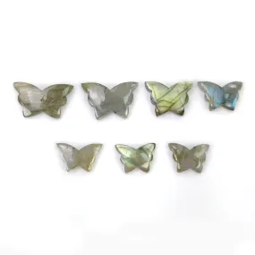 LABRADORITE Gemstone Carving : 34.00cts Natural Untreated Labradorite Gemstone Hand Carved Butterfly 12*10mm - 21*12mm 7pcs (With Video)